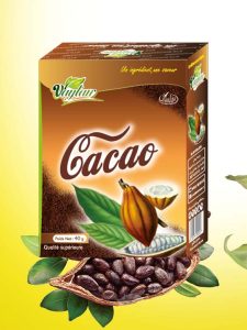 cacao-vaylan-algerie-4
